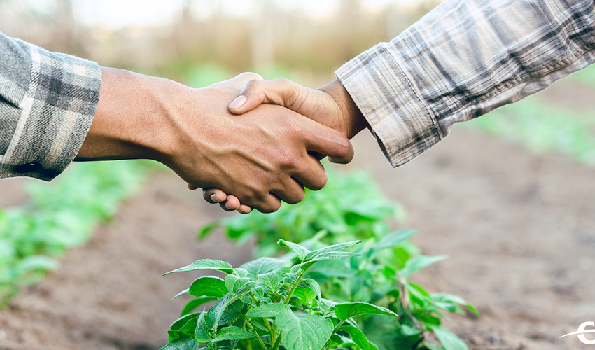  A Cultura Cooperativista e os benefícios de ser cooperado Cocari