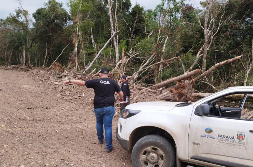  Com fiscalização do IAT, crimes ambientais tiveram redução de 30% na região de Maringá
