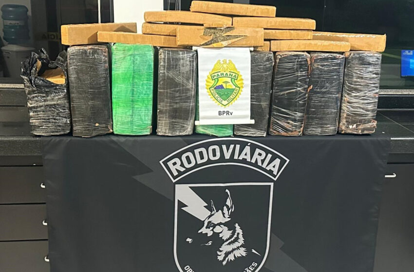  Polícia Militar do Paraná apreende mais de 200 quilos de maconha em Cruzeiro do Oeste