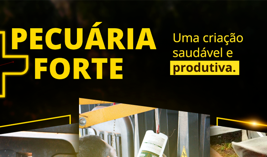  Pecuária Mais Forte: campanha facilita o acesso do pecuarista ao manejo reprodutivo, medicamentos e nutrição animal