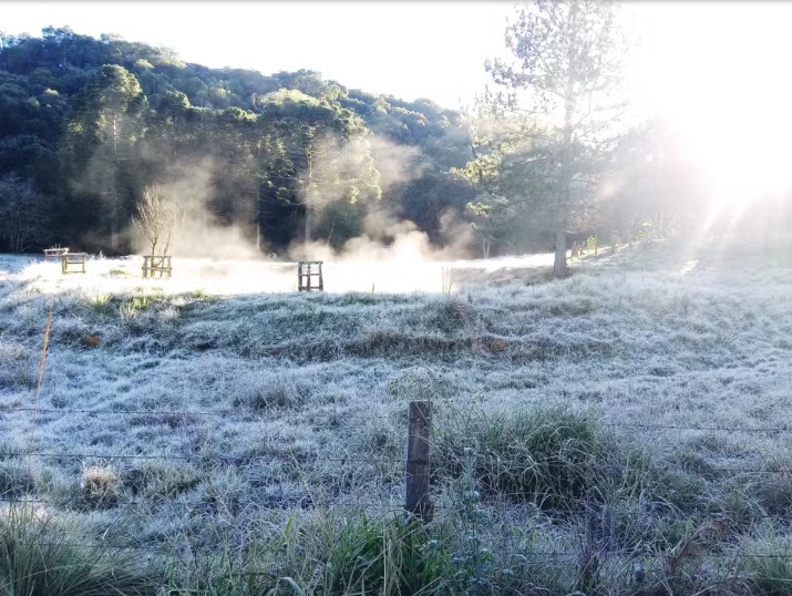  Paraná deve ter geada e temperaturas de até 0ºC, diz Simepar