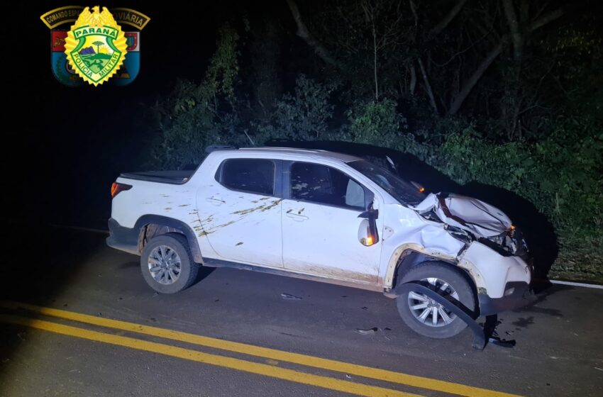  Motorista bate em boi entre Rio Bom e Marilândia do Sul