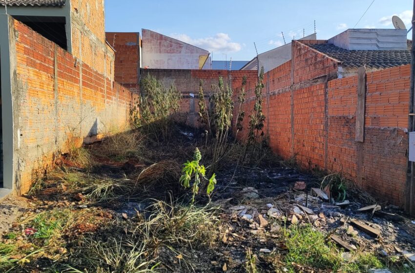  Homem é preso após atear fogo em terreno em Arapongas