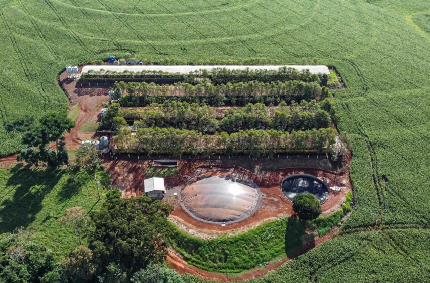  Produção de biogás a partir da suinocultura gera renda extra para produtores do Paraná