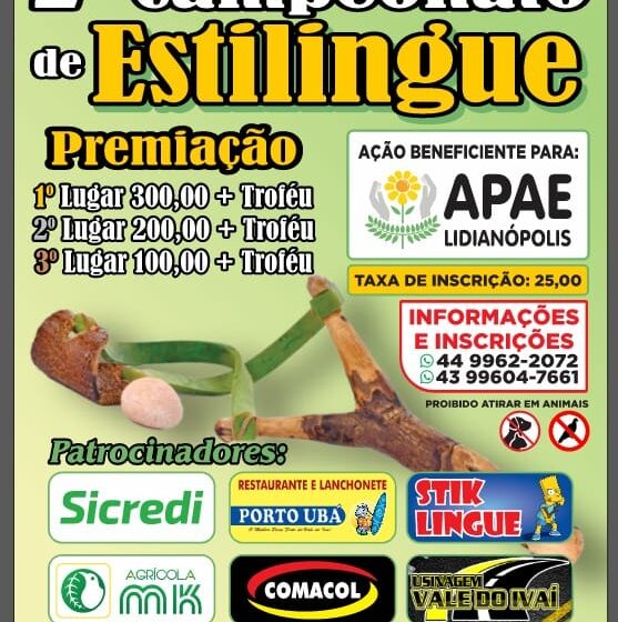  2° campeonato de Estilingue da Apae de Lidianópolis