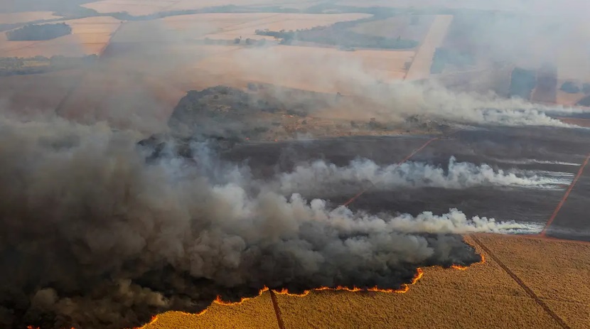  Preso quinto suspeito de provocar incêndios no interior de São Paulo