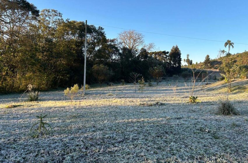  15 cidades com temperatura abaixo de zero e -5,3°C: 13 de agosto foi o dia mais frio do ano