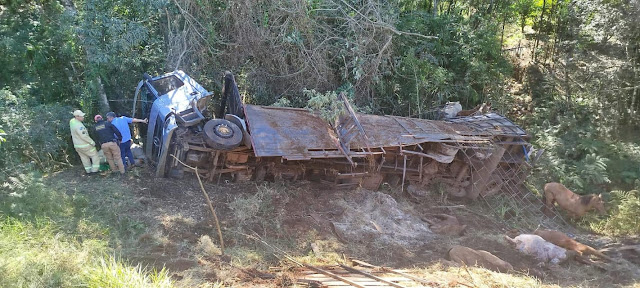  Acidente com caminhão carregado de Cavalos em Pitanga