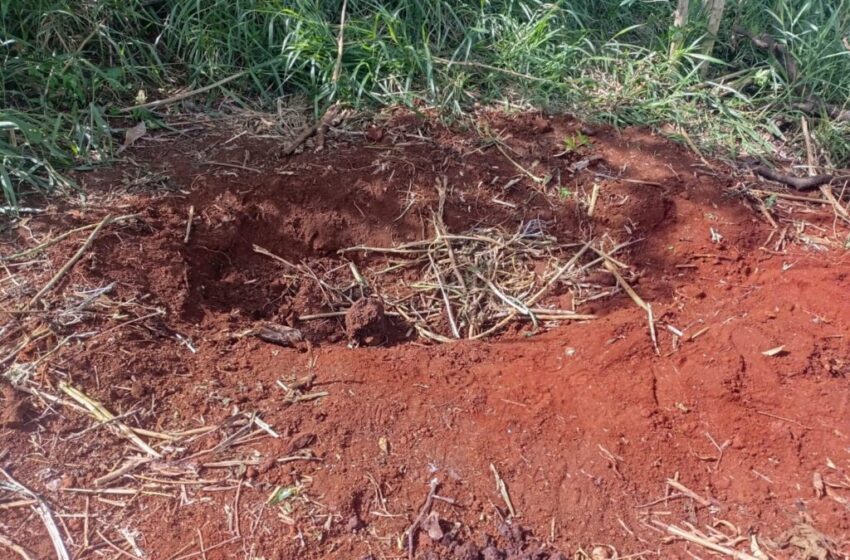  Idoso encontrado enterrado em Apucarana teria violentado criança; veja