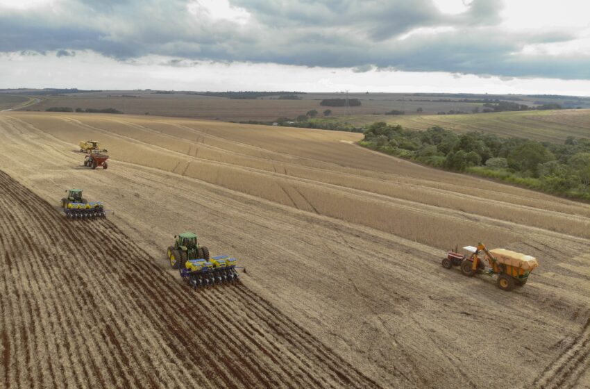  Com fim do vazio sanitário, plantio de soja começa em 5,8 milhões de hectares no Paraná