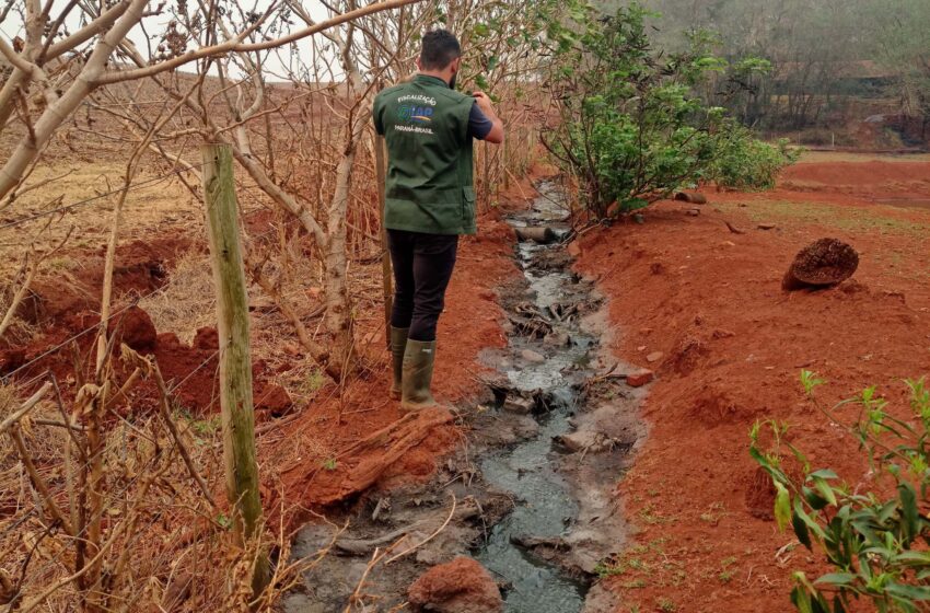  Suinocultor é multado em R$ 100 mil por infração ambiental em córrego de Toledo