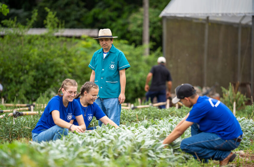  Inscrições para cursos nos CEEPs e colégios agrícolas encerram na sexta-feira