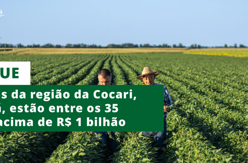  25 municípios da área da Cocari, no Paraná, estão entre os 35 com VBP acima de R$ 1 bilhão