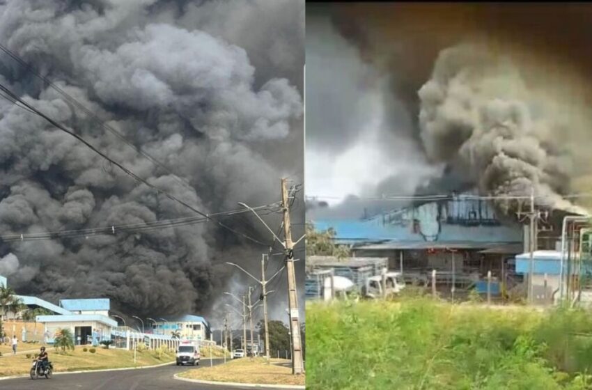  Incêndio de grandes proporções atinge fábrica de frangos no norte do Paraná