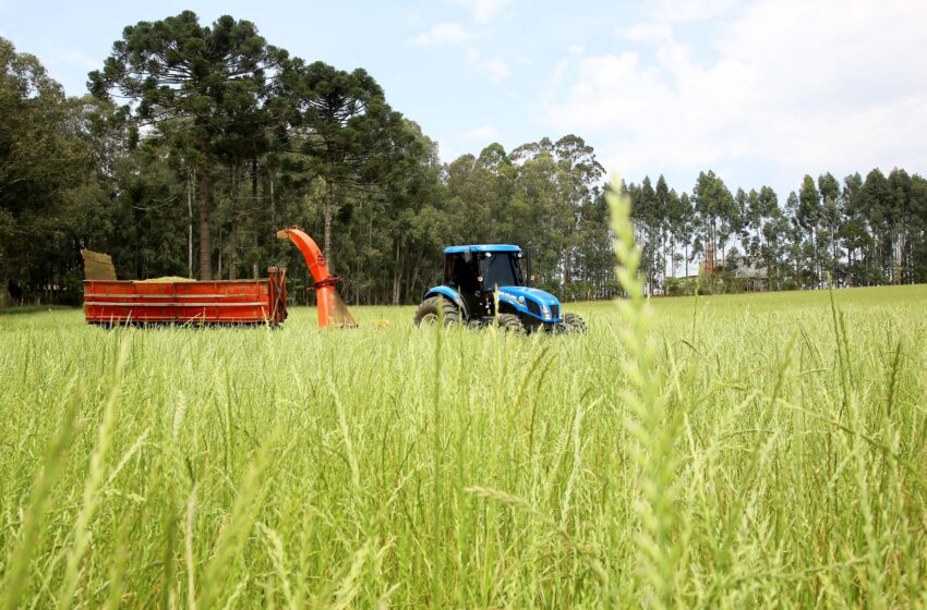  Governo renova Fundo de Aval para garantia em financiamentos à agricultura familiar