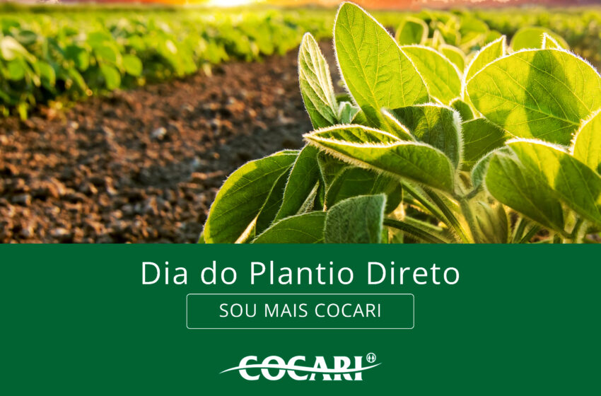  Dia do Plantio Direto – Celebrando a sustentabilidade na agricultura