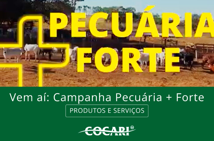  Campanha Pecuária + Forte fortalece a atividade pecuária