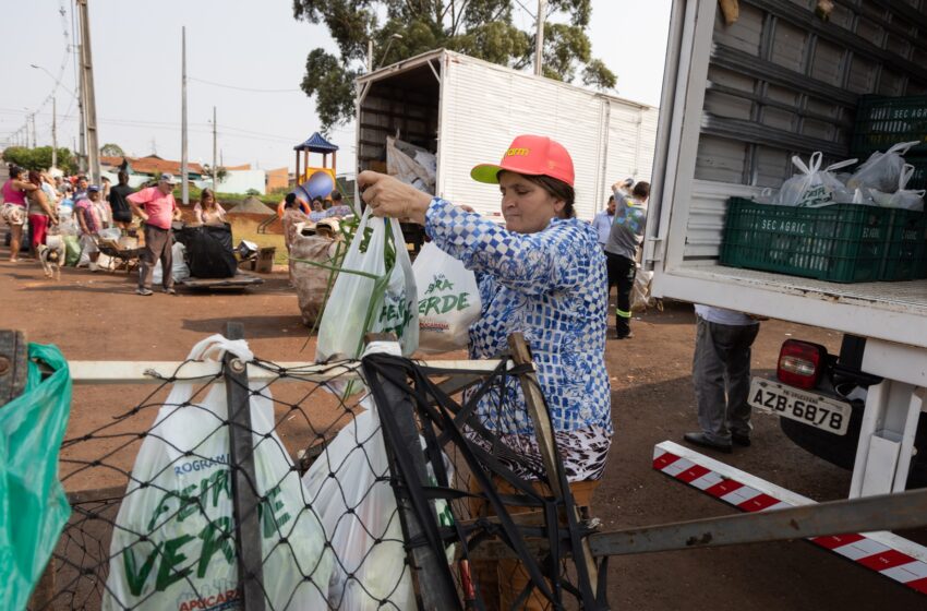  Feira Verde atenderá em nove regiões da cidade nesta semana