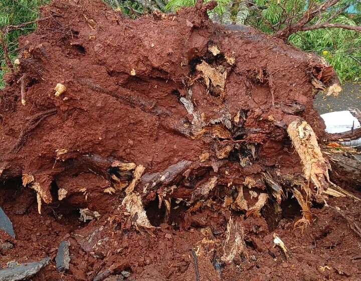  Temporal provoca estragos em Apucarana e região