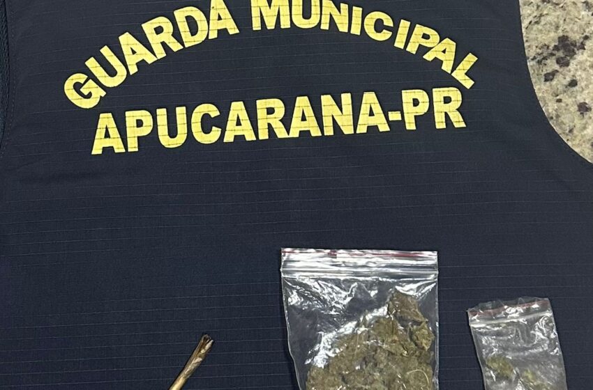  GCM apreende adolescente e maconha em Apucarana