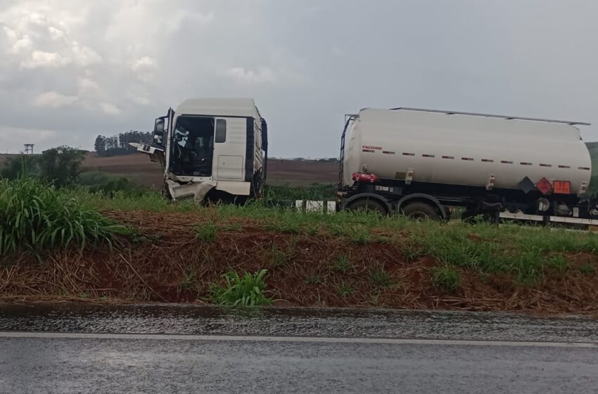  Motorista morre após bater contra caminhão na PR-444