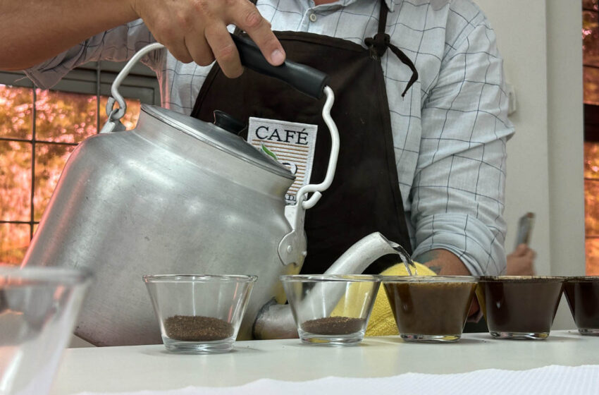  Concurso Café Qualidade Paraná dá início ao julgamento dos lotes inscritos