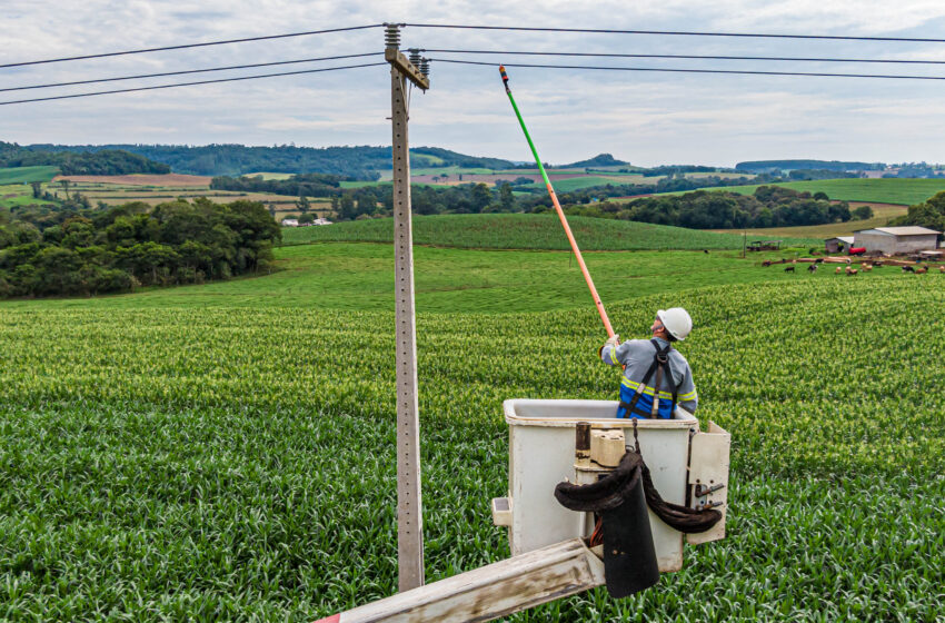  Do Clic Rural aos 19 mil km de redes do Paraná Trifásico, Copel leva investimentos ao campo