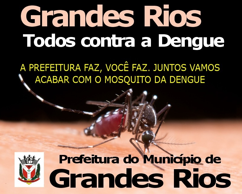 GRANDES RIOS - Dengue