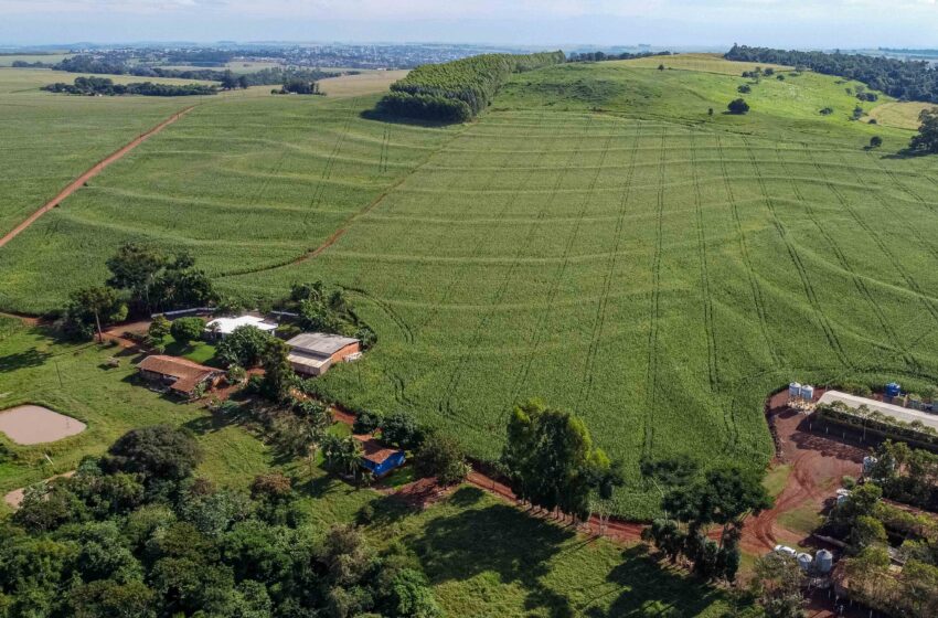  IAT reforça importância da atualização regular do Cadastro Ambiental Rural