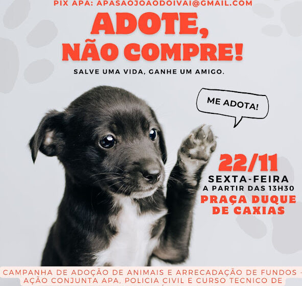  Campanha “Adote, Não Compre” em São João do Ivaí