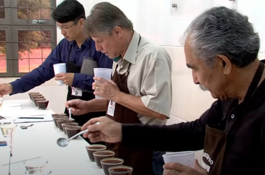  Vencedores do concurso Café Qualidade Paraná serão anunciados em Curitiba na terça