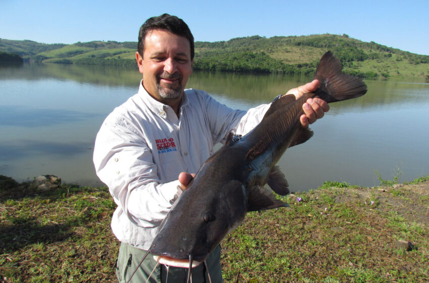  Novo ciclo do Rio Vivo vai soltar 2,6 milhões de peixes nativos nas bacias do Paraná