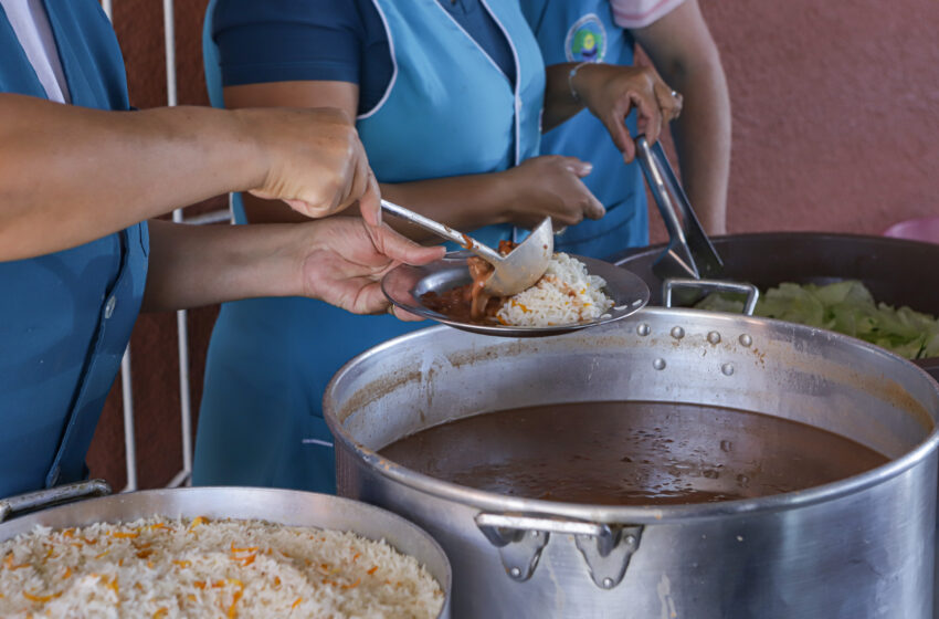  De feijão tropeiro a strogonoff de peixe: concurso da merenda tem receitas e cozinheiras finalistas