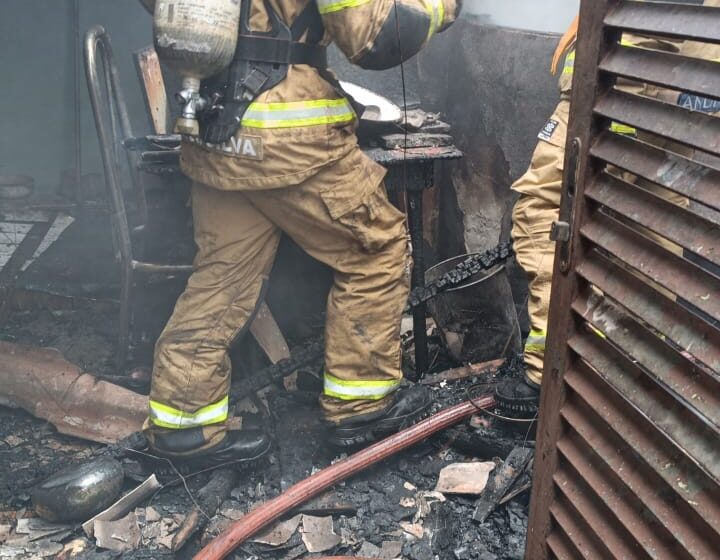  Incêndio é registrado em Apucarana; cão e passarinho são resgatados