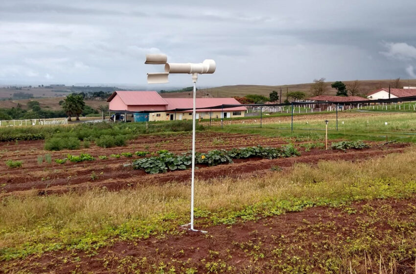  Pesquisadores do Paraná usam Inteligência Artificial para combate da ferrugem da soja