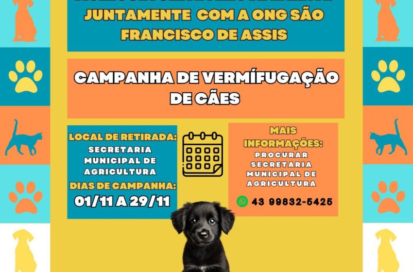  Campanha de vermífugação de cães em Lidianópolis