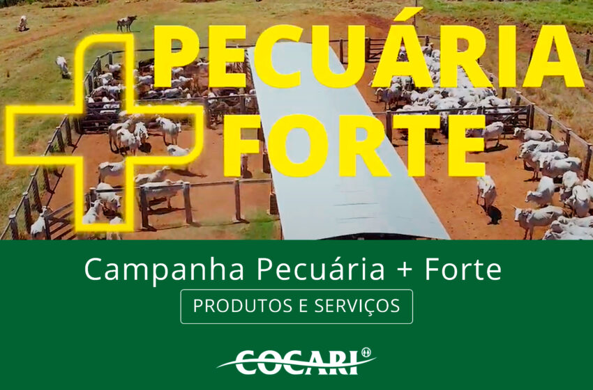  Campanha Pecuária + Forte da Cocari