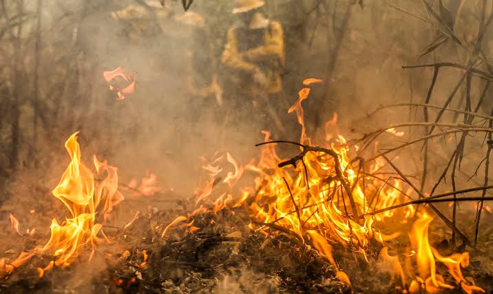  Homem é detido após ater fogo em terreno em Apucarana