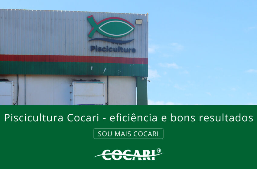  Piscicultura Cocari: eficiência e sustentabilidade para bons resultados