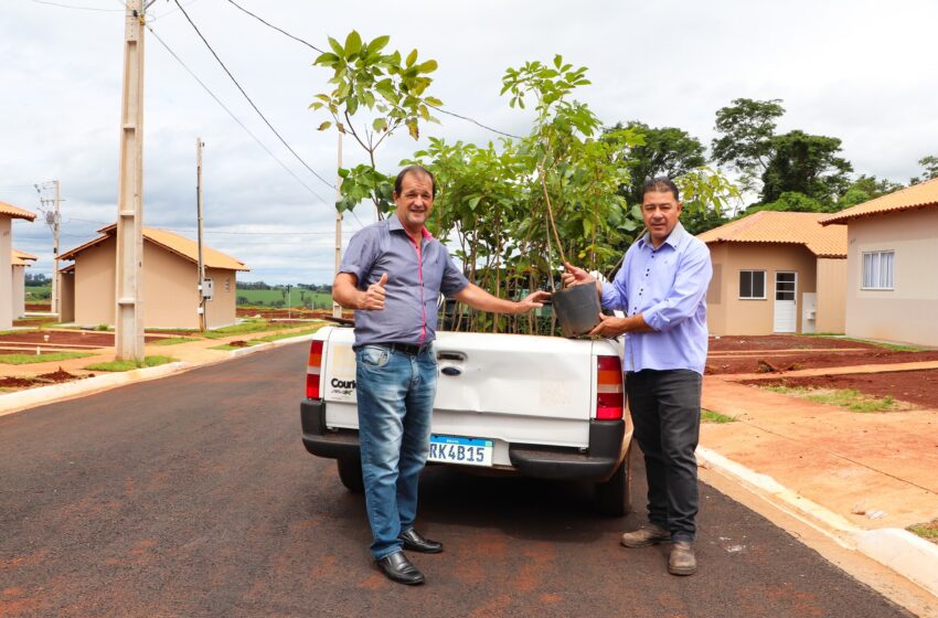  Jardim Alegre realiza arborização urbana no Conjunto Amador Gonçalves