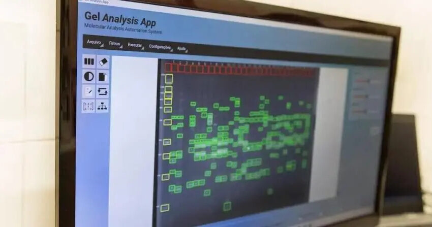  Pesquisadores da UEM criam software baseado em IA que analisa DNA em minutos