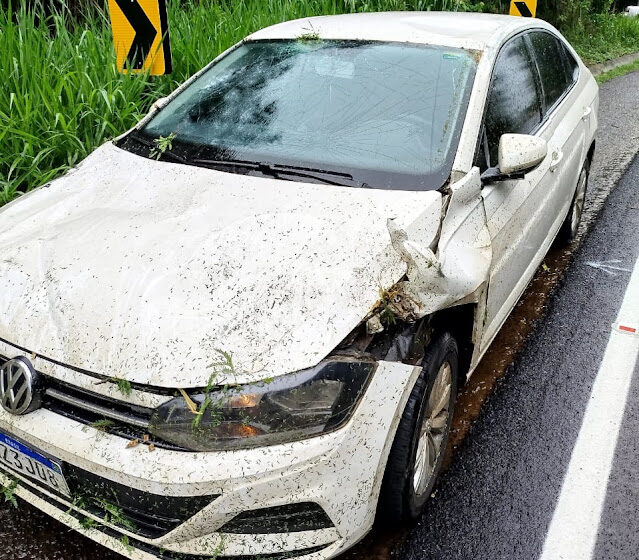  Carro da prefeitura de Borrazópolis é atingida por galho na PR-170