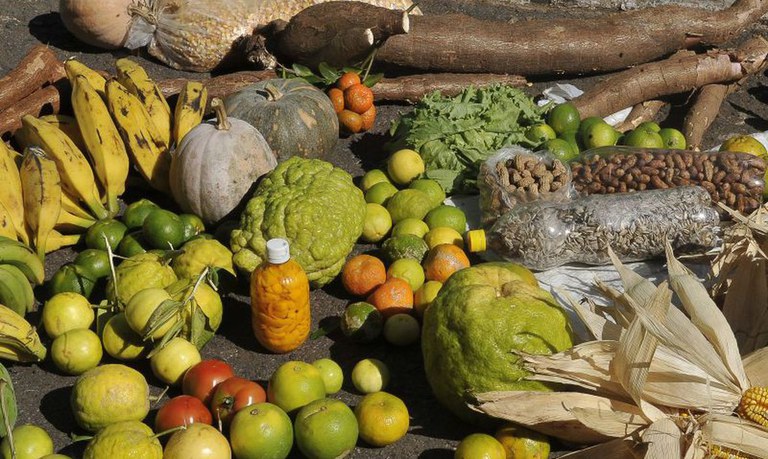  Prefeitura de Ivaiporã informa aos agricultores que encerra hoje chamada pública para PAA