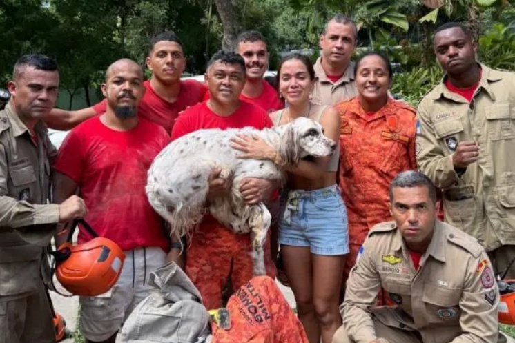  Anitta encontra seu cachorro Charlie após sumiço na noite de Natal