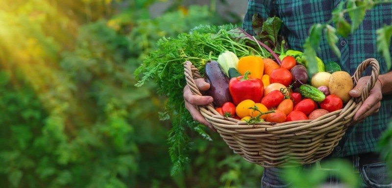  Sesan faz balanço de ações do programa de aquisição de Alimentos