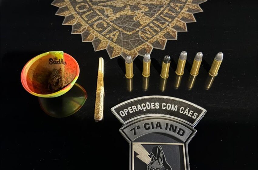  Rapaz é flagrado com maconha e munições em Arapongas