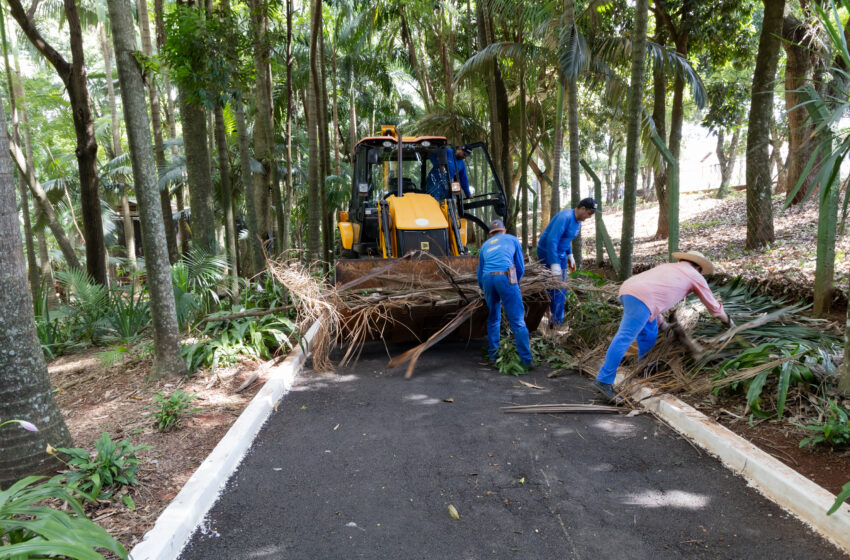  Bosque Municipal fecha nesta semana para receber melhorias