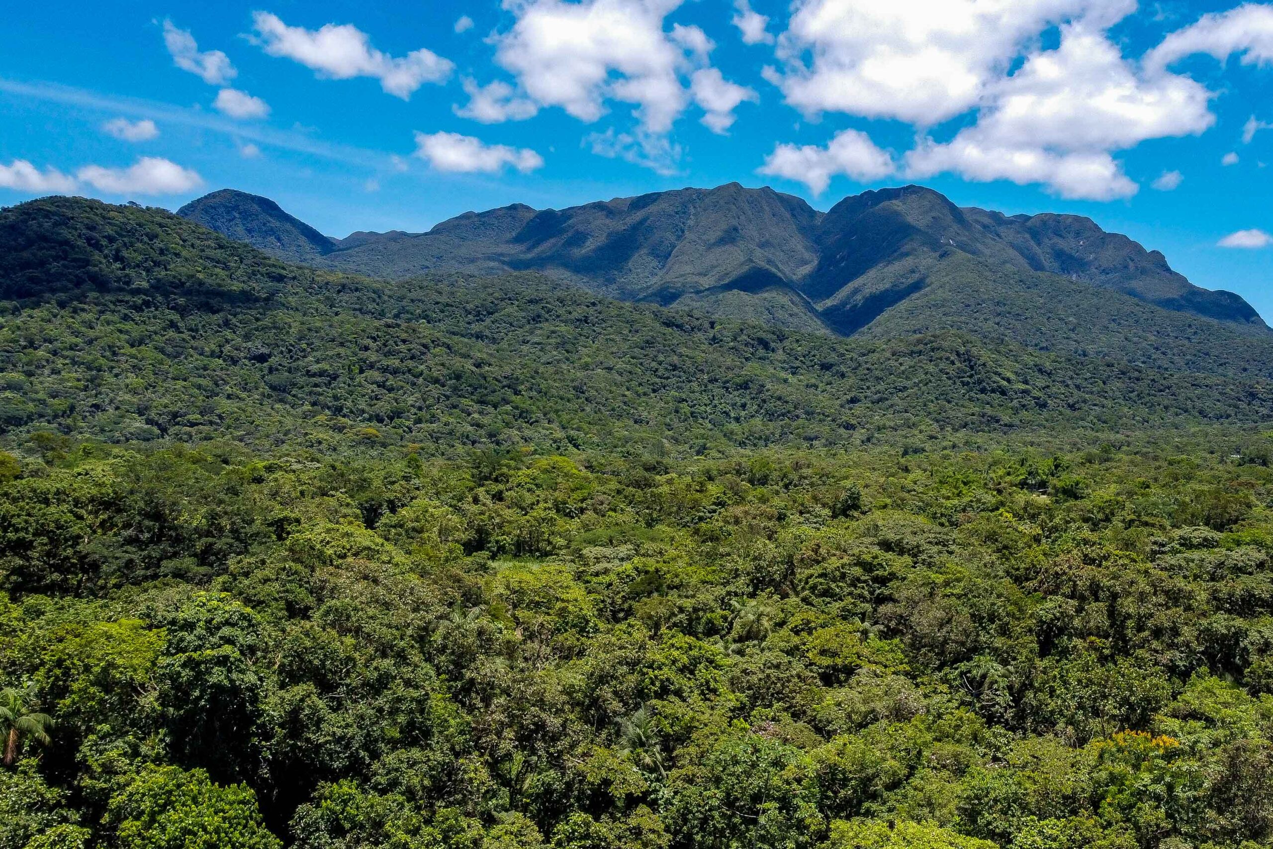 Morretes, 13 de dezembro de 2023 – Serra do Mar paranaense, em Morretes.